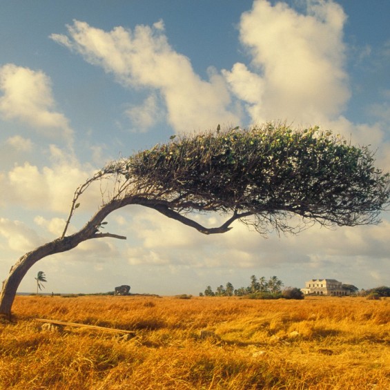 4 Expert Tips On How To Choose The Right Men’s Wallet